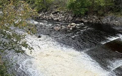 Domarna angående fiskevägarna överklagade